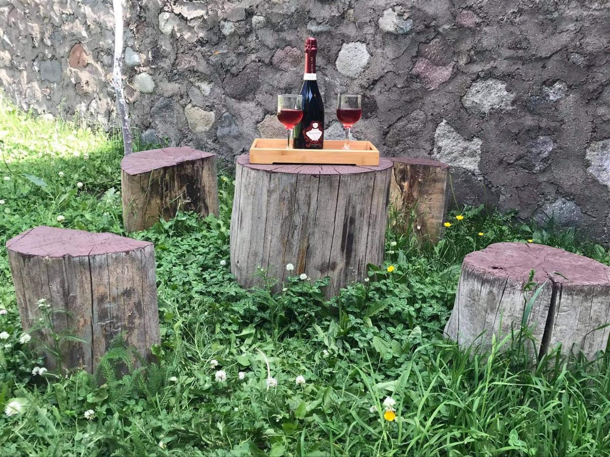 Hotel Crystal Kazbegi Extérieur photo