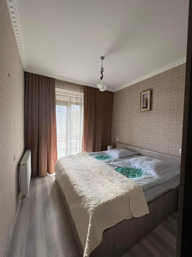 Hotel Crystal Kazbegi Extérieur photo