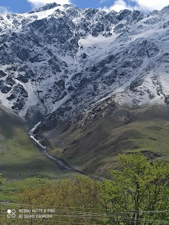 Hotel Crystal Kazbegi Extérieur photo