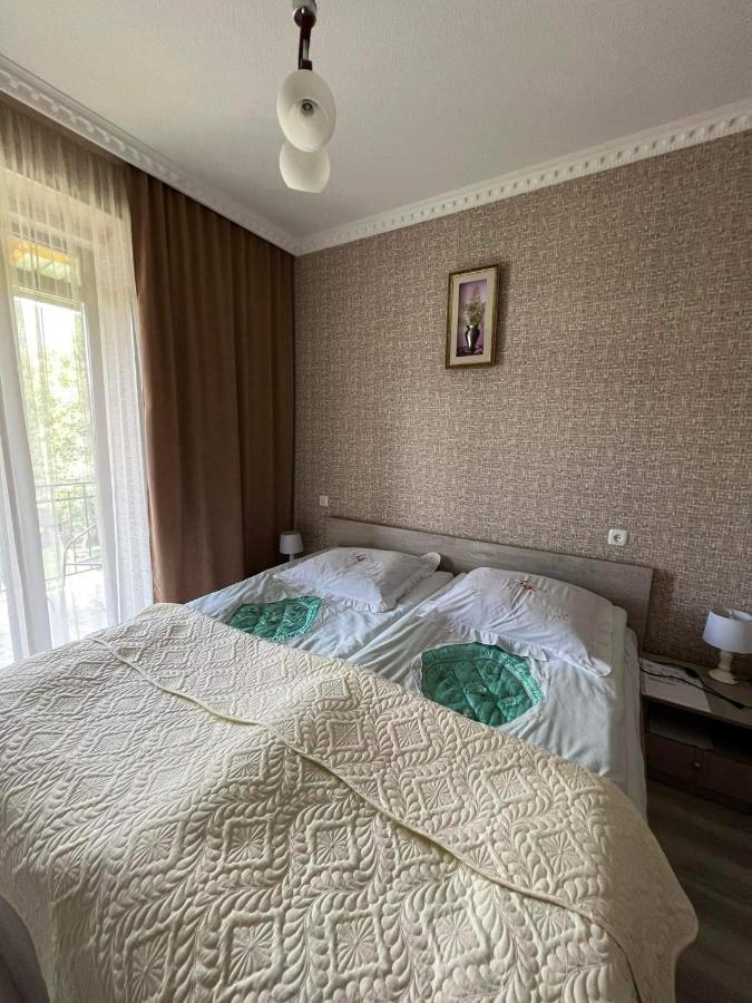 Hotel Crystal Kazbegi Extérieur photo